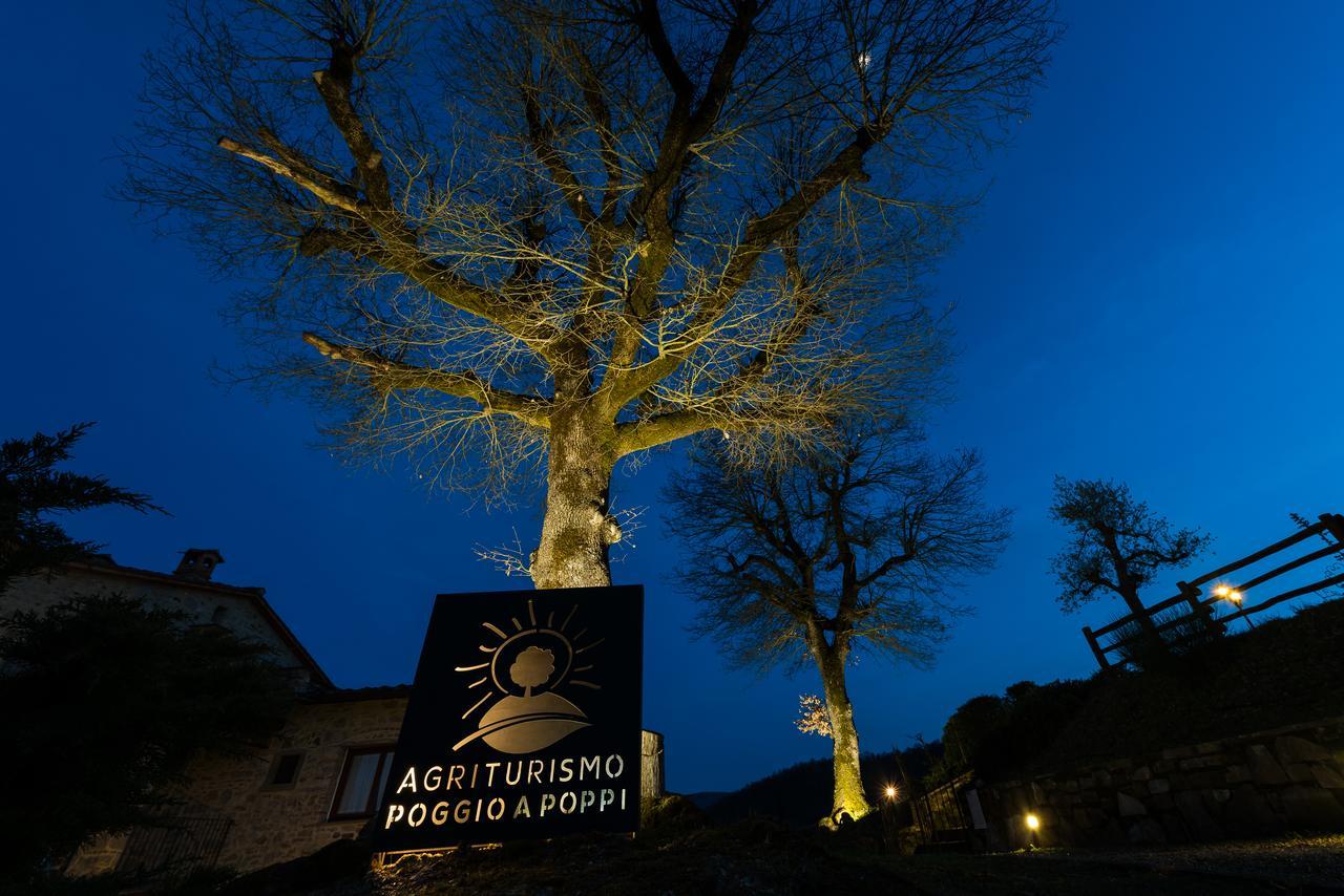 Poggio A Poppi Vila Exterior foto